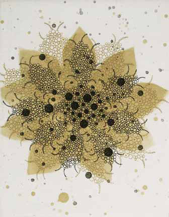 Seiko Tachibana, fern-butterfly-effect-e1, intaglio, 15 x 11"