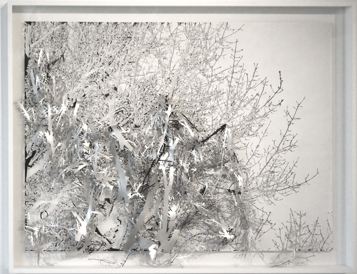 Soo Kim, Chelsea Image