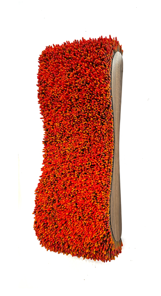 Julie Easton "Coral Reef" Image
