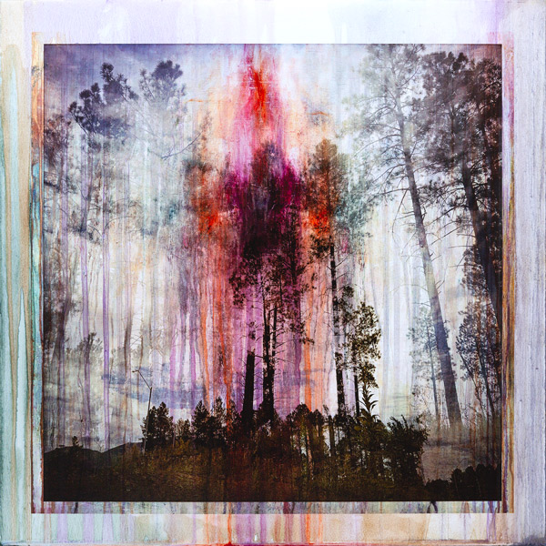 image of artwork by Lawrence Fodor titled Fusion Flagstaff Ponderosa 01D