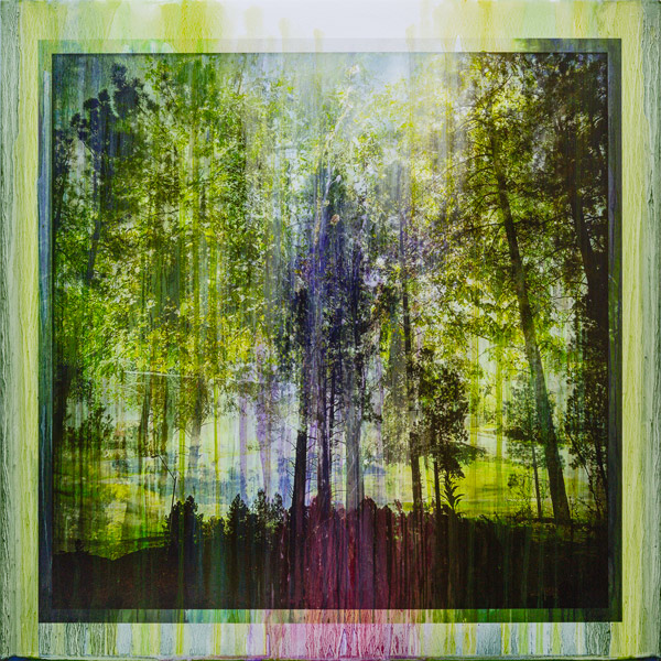 image of artwork by Lawrence Fodor titled Fusion Flagstaff Ponderosa 02D