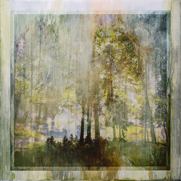 image of artwork by Lawrence Fodor titled Fusion Flagstaff Ponderosa 03A