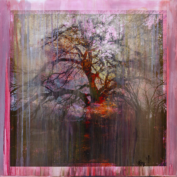 image of artwork by Lawrence Fodor titled Fusion Nambe Cottonwood