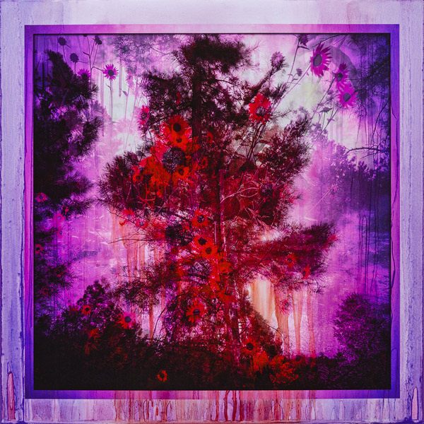 image of artwork by Lawrence Fodor titled Fusion Pecos Ponderosas+Sunflowers 02B