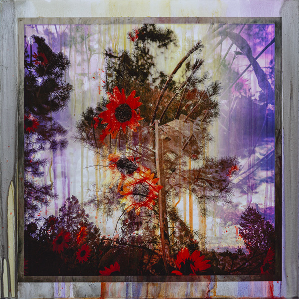 image of artwork by Lawrence Fodor titled Fusion Pecos Ponderosas+Sunflowers 02C