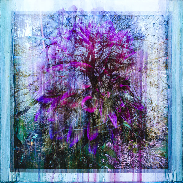 image of artwork by Lawrence Fodor titled Fusion Santa Fe Forest 04B
