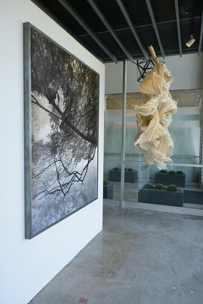 image of Gallery Installation