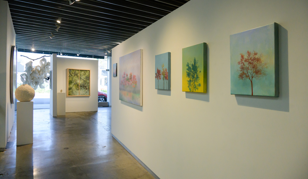 image of Gallery Installation