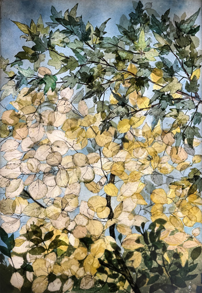 image of artwork by Maria Greenshields-Ziman titled Canopy of 1,000 Leaves