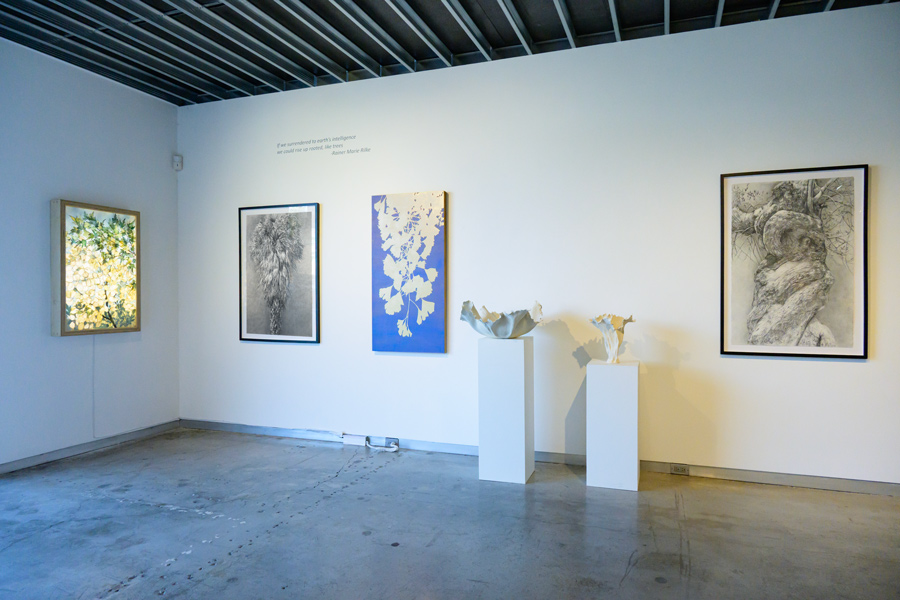 Gallery Installation