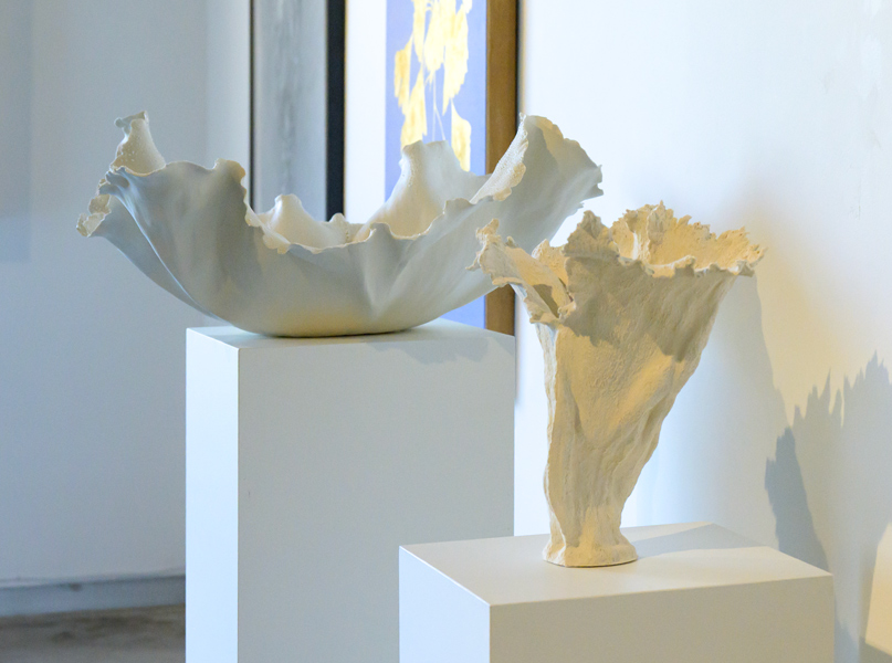 image of Gallery Installation