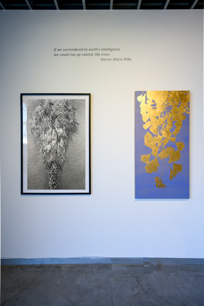 image of Gallery Installation