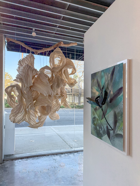 image of Gallery Installation