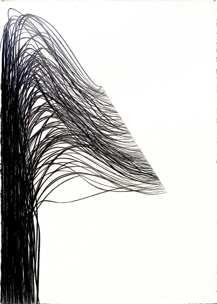 image of artwork by Ann Marie Rousseau titled 100 Points Wave