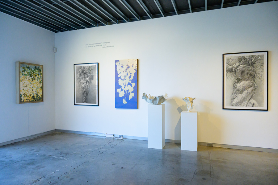 image of Gallery Installation