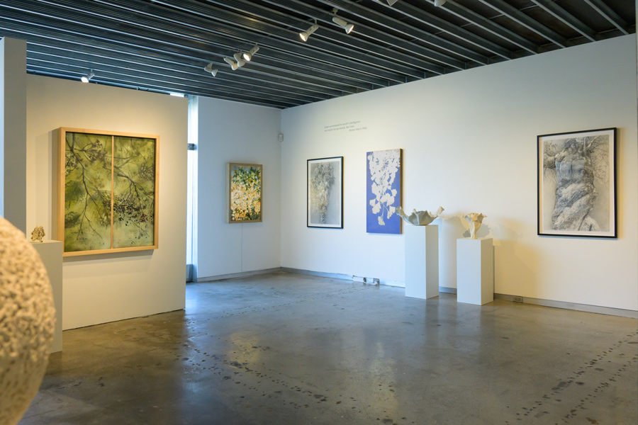 image of Gallery Installation