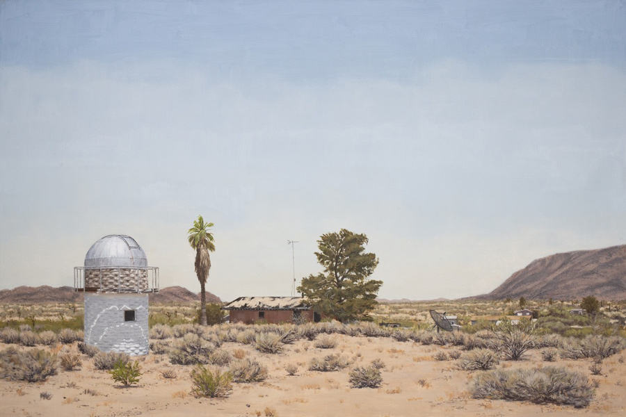image of artwork by Robert Redding titled Joshua Tree 1