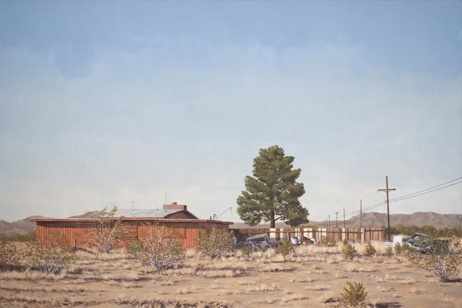 image of artwork by Robert Redding titled Joshua Tree 3